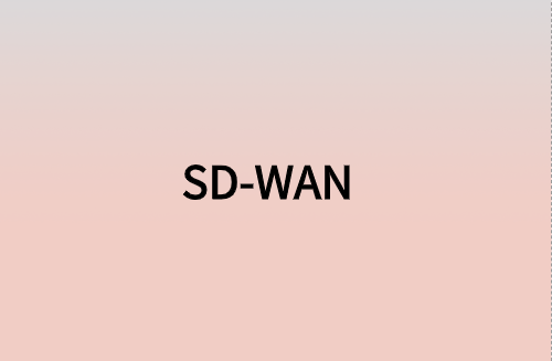 對企業(yè)而言，SD-WAN意味著什么?