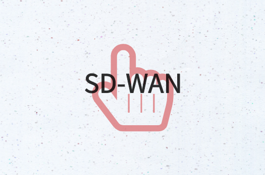 SD-WAN網(wǎng)絡運維