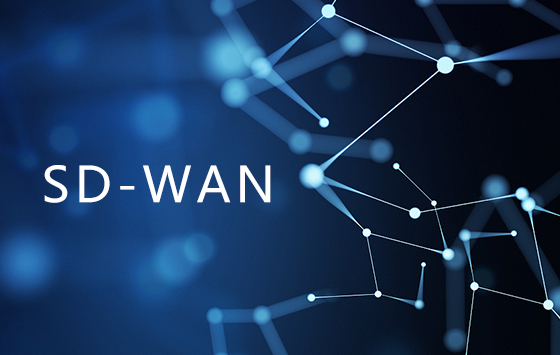 SD-WAN技術所具備的優(yōu)勢大大為IT團隊減少不必要的麻煩