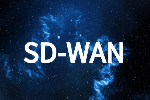 SD-WAN體系結(jié)構類型