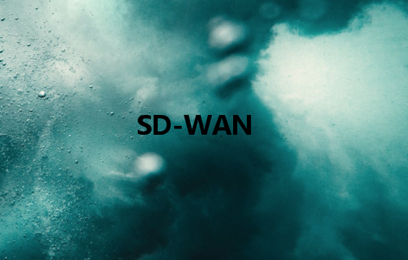 SD-WAN：使通過公共網(wǎng)絡傳輸?shù)臄?shù)據(jù)像專用網(wǎng)絡一樣安全